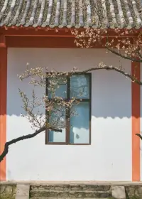 悟語


禪宗六祖惠能大師給世人留下過這樣的警句：菩提本無樹，明鏡亦非臺，本來無一物，何處惹塵埃。菩提只向心覓，何勞向外求玄？

這里的“菩提”指的是人的覺悟，整句話的意思就是：世上原本就沒有菩提樹，也沒有明亮的鏡臺。本來就是四大皆空，哪里還會染上塵埃！人的覺悟是只能向著內心去尋找，何必還要勞累向外界去求取玄機？

通俗地講，就是告訴我們人生本來就是空空如也，你所追求擁有的一切，到頭來都不是自己的。 其實你真正可以擁有的只能是當下快樂地活著。

只有看破了人生“空”的本質，才能讓我們保持豁達從容，愛恨隨緣，順其自然的心態，和“得之我幸，不得我命”的灑脫。配圖