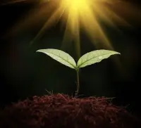人生很重要的事情就是認清自己！

人活這一輩子其實并不是非要如何成功才算是值得，平平淡淡地過好自己的小日子也并不算失敗。

如果真的想清楚了自己并不擅長需要大量交際、不斷挑戰、壓力很大的工作，那就不要非得逼著自己往這樣的工作上湊！

認清自己的核心優勢，去做自己擅長且能讓自己開心的工作，安安靜靜地做一份讓自己舒服的事情，有何不可。

放棄和別人的攀比，放棄和自己的較勁，認清自己，選擇適合自己的道路，不焦慮、不內耗，享受自己的小日子就好！配圖