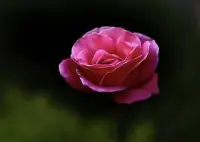 人生中最美好的回憶大概就是青蔥歲月遇到心動的人，懵懂青春懵懂的悸動，不枉此生！

其實往后我們懷念的并不是那個人，而是懷念那時候“遇到那個人的自己”！配圖