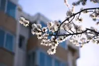 楊絳先生曾說(shuō)：“走好選擇的路，別選擇好走的路，你才能擁有真正的自己。”成為高能量的人，不是一蹴而就的，而是需要我們持續(xù)深耕自己的專(zhuān)業(yè)，穩(wěn)賺不賠；日拱一卒，做好當(dāng)下每一件小事；具有持續(xù)提升的意識(shí)和意志力，不求速成，但求通透！

職場(chǎng)咨詢(xún)歡迎找肖蕭老師！配圖