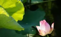 對于情感挽回咨詢我不敢保證我有辦法幫你挽回，但是我可讓你重新看待這段關系是否值得去挽回！配圖