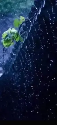 很煩的時候怎么緩解情緒

當很煩的時候，可以嘗試以下方法來緩解情緒：
1. 深呼吸：慢慢地吸氣，然后緩緩呼氣，重復幾次，幫助放松身體和情緒。

2. 適度運動：如散步、跑步、瑜伽等，能釋放壓力和不良情緒。

3. 傾訴心聲：和親朋好友分享自己的煩惱，獲得理解和支持。

4. 聽音樂：選擇舒緩、喜歡的音樂，讓心情平靜下來。

5. 沉浸自然：到公園、郊外等自然環(huán)境中走走，呼吸新鮮空氣。

6. 書寫記錄：把煩惱寫下來，有助于理清思緒。

7. 專注愛好：做自己喜歡的事情，如繪畫、閱讀、手工等。

8. 冥想放松：找個安靜的地方，集中注意力，放松身心。

9. 美食慰藉：適當吃些喜歡的食物，但要注意適量。

10. 睡眠休息：充足的睡眠能改善情緒狀態(tài)！

情緒管理個人成長婚戀問題可咨詢老師！配圖
