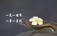 “正念禪修”對當(dāng)今生活的幫助（適合壓力大的人群）

正念禪修它是一種冥想和心智訓(xùn)練的方法，旨在培養(yǎng)個(gè)體對當(dāng)下體驗(yàn)的覺察和非評判性的關(guān)注。通過專注于呼吸、身體感覺、思緒和情緒等此刻正在發(fā)生的事物，幫助人們提高專注力、和積極自我意識和情緒調(diào)節(jié)能力。

正念禪修的實(shí)踐可以通過多種方式進(jìn)行，例如靜坐冥想、身體掃描、正念呼吸等。它的目的是讓人們更加敏銳地感知自己的內(nèi)在體驗(yàn)，學(xué)會以一種平和、接納的態(tài)度對待各種情緒和思維模式。

一些研究表明，正念禪修可能對心理健康產(chǎn)生積極影響，如減輕焦慮、抑郁等情緒問題，提升專注力和認(rèn)知功能。此外，它也被應(yīng)用于壓力管理、疼痛緩解、改善睡眠等方面。

然而，需要注意的是，正念禪修并非一種適用于所有人的方法，其效果也因人而異。

如果你對正念禪修感興趣，可以咨詢老師！老師把常年的禪修經(jīng)驗(yàn)和心得分享給您！配圖