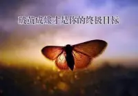 精神內耗就是來源於頭腦里的想法和念頭太多，

當我們大腦處在了放空狀態時，我們的內耗自然會停止！

冥想練習可以讓我們放空大腦，得到寧靜！

喜歡冥想的小伙伴可來咨詢！配圖