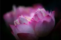老師曾是民政局婚姻輔導處的特聘心理咨詢師，如果有什么需要幫忙的可以具體的與老師說說！或許肖老師可以給點建議！????配圖