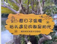 失戀療愈成長咨詢

大魚海棠里的鼠婆說：“不要預設和別人共渡
一生，請自然的相處，命運把你們帶到哪里就到哪里。

天若有道，自不會讓有情人分離，天若無
道，人就應該遵循天命。配圖