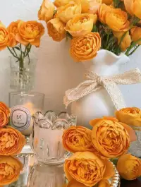 戀愛擇偶心理咨詢

想和你結婚的男人，會主動交代自己的工作收益、前景，他會努力提升自己，給你安全感和保障。

他會讓自己的工資和存款透明化，因為他把你當做家人，最親的親人。

想和你結婚的女人，也不會大手大腳故意花你錢，她反而會為你省錢、替你理財。

因為，不管是你的錢，還是她的錢，都是你們小家的啟動資金。配圖