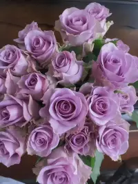 親愛的朋友您好！我是心理咨詢師和婚姻、婚戀指導師、家庭教育、職業規劃師肖老師，擅長婚姻、情感、心理咨詢、職業規劃，傾訴各種情緒困擾，我愿做您的心靈樹洞，傾聽您的心聲，給予您最真誠的支持和陪伴！

咨詢風格：保密尊重不評判！配圖