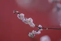 婚姻家庭咨詢

一段婚姻能否走得長遠，取決于兩個人能否持續的為對方提供價值。戀愛時加分的顏值、身材、會一些才藝等等，到結婚后會慢慢失效，最后變得索然無味。

也許，你會覺得說的太現實了，然而事實確實是這樣。原本美好的婚姻被說的這么殘忍。其實，婚姻是美好的，不好的是人不會經營婚姻，殘忍的是大部分人自欺欺人，不愿意接受婚姻的事實。

如果能從“婚姻的本質就是價值交換”這個角度來經營婚姻，那婚姻就會變得簡單而美好了。配圖