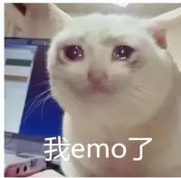 也許活在你朋友圈的好友多姿多彩，可是你卻沒有看見過(guò)他們奮斗流汗的日子，也沒見過(guò)他們深夜神傷的落寞。

絕大部分朋友圈展示的是人們美好幸福的一面，大家曬的是甜，而獨(dú)自品嘗的多是苦。在深夜emo,肆意宣泄自己本就是一種釋放自己，放松自我的好辦法。

一時(shí)的emo并沒有多大的問(wèn)題，第二天起床，我們依舊擁有擁抱朝陽(yáng)的力量。我們敢曬我們的甜蜜，同樣敢品嘗克服這點(diǎn)點(diǎn)滴滴的苦味。這也正是我們青年一代在新時(shí)代追求不斷開拓進(jìn)取的精神，敢于搏擊長(zhǎng)空的勇氣與決心！配圖