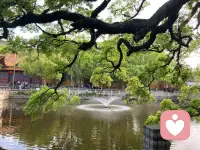 看過生命的無常，看過人性的殘酷，才能更好地活下去。

如果生活太難，那請一定牢記：

活著便意味著勝利。

世界上最大的成功和幸福，莫過于——

能有一個健康的體魄，吃好睡好，所愛之人全部安好。

低谷也好，高潮也罷，還能認真生活，努力工作，便是人生最好的狀態。-肖蕭老師配圖