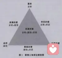 戀愛心理學(xué)知識(shí)

愛情的因素理論

斯滕伯格提出了愛情分類學(xué)研究中最具影響力的愛情三角理論，他認(rèn)為愛情包括三種成分，并將其形象地比喻成愛情三角形的三個(gè)頂點(diǎn)：（1）親密，指在愛情中能促進(jìn)親近、連屬、結(jié)合等體驗(yàn)的情感，換言之，可以引起溫暖體驗(yàn)；（2）激情，指內(nèi)驅(qū)力，這種內(nèi)驅(qū)力能引起浪漫戀愛、體態(tài)吸引、性完美，以及愛情關(guān)系中的其他有關(guān)現(xiàn)象。或者說，該成分就是在愛情關(guān)系中能引起激情體驗(yàn)的各種動(dòng)機(jī)性喚醒以及其他形式的喚醒源；（3）承諾，指在短期方面，一個(gè)人做出了愛另一個(gè)人的決定，也指在長期方面那些能維持愛情關(guān)系的投注、義務(wù)感或責(zé)任心

三種因素既彼此獨(dú)立，又相互影響，三種因素的組合構(gòu)成了八種不同的愛情類型：喜歡、迷戀之愛、空洞之愛、浪漫之愛、伴侶之愛、愚蠢之愛、完美之愛，還有一種類型叫做無愛（nonlove），即三種成分都不具備！

愛情三角形雖然形象地揭示了復(fù)雜的愛情關(guān)系，但現(xiàn)實(shí)中的愛情往往牽涉到不止一個(gè)三角形，于是斯滕伯格又提出了多重三角形原理，包括現(xiàn)實(shí)中的三角形和理想中的三角形；自己的三角形和對方的三角形；自己知覺到的三角形與對方知覺到的三角形，根據(jù)它們能夠準(zhǔn)確地預(yù)測關(guān)系滿意度和關(guān)系質(zhì)量。配圖
