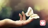 心靈之音是一種治愈的力量。

音樂能夠溫暖和安撫我們內心的痛苦和焦慮，為我們提供一片寧靜的天地。

當我們感到疲憊、失落或焦慮時，通過聆聽音樂，我們能夠放松身心，重新恢復內在的平衡和和諧。心靈之音如同一股清泉，滋潤我們內心的荒漠！配圖