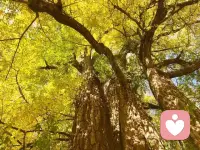 接待幾個客戶，都是善良無底線的，導致傷害了自己！

在這個世界上，有些人就算你做得再出色，他們也永遠不會滿足；還有一些情感，再怎么用心去理解也可能無解。

當你真心付出卻被忽略，當你善意付出被背叛，就會懂得，人情薄如紙，不要指望別人在意你，只有你先珍惜自己，別人才會同樣珍惜你。

你總是想要為別人考慮周全，卻可能只得到他們的無心珍視或是傷害。配圖