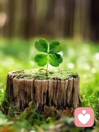 當(dāng)一個人從小一直被否定，再堅強的人都挺不住，甚至?xí)J(rèn)為自己之前的一切努力都變得沒有意義，從此一蹶不振。

要相信自己，自己會變好，就永遠和鼓勵你的人在一起，他們會像一束光，照亮你前進的方向，溫暖治愈你受傷的心！配圖