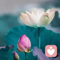 如何了解自己


我們現在大部分人感覺活的很累，一方面做事并非自己所愛，很難靜心專注，就連接不到自然的能量，全靠損耗自身的精氣神，另外一方面現在的人都是功利心做事，明爭暗斗、爾虞我詐、內耗特別大。

所以現在很多人選擇躺平，也是本能的一種調整平衡的需要，因為長期的內耗那是一種對生命的透支，我們必須有所反思。

做的事因為不是出于本心，就談不上享受，所以精神層面得不到滿足，靈魂就會空虛。靈魂一空虛很可能會去做出一些出格的事情。

所以我們認清自己是最重要的事，了解自己的內心需求和特長，再去創造自身的價值去利益他人，如此，精神與物質都能得到滿足，這才是符合自然規律。配圖