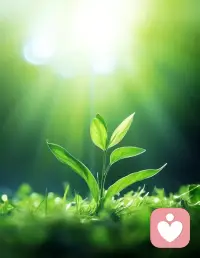 越來越發現 未來的孩子拼的是心理健康

而最好的家庭教育無非是愛的教育

在愛里長大的孩子 能夠自愛 于是找到熱愛 做事情順風順水 更好地活出天命 縱然平凡都能滿足感幸福感極高
若沒有這樣的條件 就把自己的靈魂和肉身重新好好養一遍！配圖