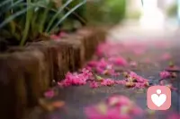 世界萬物都在治愈你，只有你不肯放過你自己。

別為瑣碎之事影響心情，日子總會是晴空萬里。

世界美好都會擁抱你，會有人跋山涉水去愛你，能失去的都不屬于你，你只需要對得起你自己！配圖