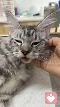 機會是留給有準備的人！配圖