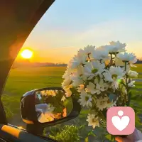 羅翔老師說過：“我們永遠不要在自己所看重的事情上，投入不切實際的期待，附加不著邊際的價值，因為人生唯一確定的，就是不確定的人生。”

你在意什么，什么就會折磨你，你計較什么，什么就會困擾你。人保護自己最佳的方式，就是減少對別人的依賴，降低對別人的期待，沒有依賴，就沒有指望；沒有期待，就沒有失望。配圖