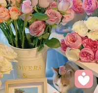 個人成長咨詢


人與人之間的一切關系，都如流沙，握得越緊，流失得越快，把期待放在別人身上，期待越高，失望越大。沒有人有義務要滿足你的期待，包括你自己，即使是你的影子，也會在黑暗里離開你。

命運，就像是一條長河，眾生皆苦，不要指望任何人來做你的擺渡人，要學會自渡！配圖