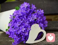 婚姻戀愛情感困惑咨詢（個人成長篇）

經歷背叛后，經濟無法獨立、利益被牽制……這些，也會構成經歷背叛的人，不得不留在背叛者身邊的主要原因。

然而，理智的人會知道，這樣的“依附”式生活，永遠都是被動狀態。

如果，你因為無法獨立、利益被牽扯而無法及時止損，那你就很可能有一天被背叛者運用更“高明”的手段，讓你余生更加難熬。

經歷過反復背叛的人，唯一要做的是要么權衡利弊選擇去留。要么直接干脆及時止損。若留，便對背叛者別再抱有任何希望，若走就再也別回頭。

只是，無論如何，都別忘了自我成就。

只有自己真正強大了，才不必為了生存、生活去被動依附誰，飽受背叛之苦！配圖