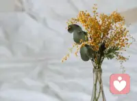 一段非常治愈的話：“這個世界上沒有真正快樂的人，只有想得開的人，世界萬物都在治愈你，只有你不肯放過自己。

你把自己逼到抑郁，把自己氣得一身病，然后除了自己難受，什么也改變不了，世界上所有的事情除了生死，其他都不值得一提。”

成年人的世界，因為經歷，所以懂得，都是一邊崩潰一邊自愈，然后合成一種叫成熟的詞。誰的人生活沒煩惱，只不過都想努力做一個向日葵般的人，向著陽光，春華秋實！配圖