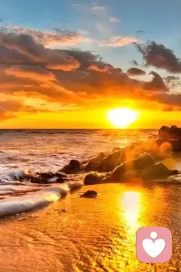 一定要感謝那個傷害過你的人，他（她）讓你的逆商全線打開，你披上的鎧甲，勇敢前行！

情感問題可以關(guān)注肖老師！老師有多年的婚戀經(jīng)驗(yàn)，讓你更加理性的思考你未來要走的路！配圖