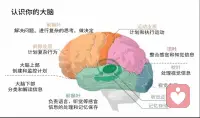 冥想的力量

科學研究表明，每天進行30分鐘的正念冥想練習，就可以從物理上讓我們變得更加放松！


美國田納西州范德堡大學的蘇珊娜?埃爾庫拉諾（Suzana Herculano-Houzel）研究發現，人類大腦的神經元多達860億個。（一說是160億個左右）。

我們知道，神經元是大腦處理信息和執行認知任務的基本單位。

大腦的神經連接是一個高度復雜和精密的系統。通過神經元的生成與遷移、軸突與樹突的生長、突觸的形成與修剪，以及髓鞘的包裹，大腦形成了龐大而高效的神經網絡。這一網絡支持了我們的思維、記憶、感知和行為，使我們能夠感知世界并與之互動。

 2005 年發表在 NeuroReport 上的一項研究發現，冥想的人在右眼眶額葉皮層和右海馬體中增加了灰質，這些區域與情緒調節和反應控制有關。

2011 年發表在 Psychiatry Research 上的另一項研究發現，在 8 周內每天進行大約 30 分鐘正念冥想的人的海馬體灰質密度增加，這與學習和記憶以及與自我意識相關的結構有關。

與意識、決策和社會行為等高級大腦功能相關的前額葉皮層，隨著年齡的增長，其體積往往會減少。

但是Neuroreport 2005 年的一項研究發現，與不進行冥想的人相比，進行多年冥想的人的前額葉皮層更厚。

從以上的實驗可以看出，冥想可以改變我們的大腦，就像健身一樣，冥想讓我們的大腦更健康、更放松！

如果你壓力很大，可以試一試！配圖