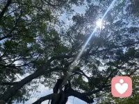 親愛的朋友，如果您現在沒啥能量，做什么都不得勁，不妨試試以下幾個方法：


曬太陽 ，打扮自己 ，和好朋友叭啦叭啦，聽聽正能量的音樂，狠狠地睡覺，吃個自己喜歡的美食，去大自然中呼吸新鮮空氣，選自己喜歡的運動，有個自己喜歡的興趣愛好，冥想練習三十分鐘，去重新獲取能量！配圖