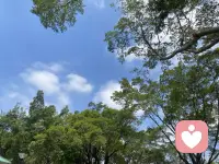 親愛的朋友，如果您現在沒啥能量，做什么都不得勁，不妨試試以下幾個方法：


曬太陽 ，打扮自己 ，和好朋友叭啦叭啦，聽聽正能量的音樂，狠狠地睡覺，吃個自己喜歡的美食，去大自然中呼吸新鮮空氣，選自己喜歡的運動，有個自己喜歡的興趣愛好，冥想練習三十分鐘，去重新獲取能量！配圖