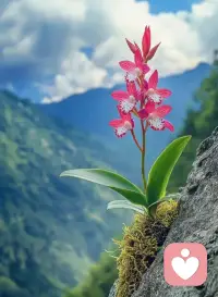 親愛的朋友，真正困住你的不是困難本身，而是臆想中對(duì)自己一遍遍的負(fù)面暗示！

很多人面對(duì)迷茫的未來有種恐懼感，總覺得未知的未來有很多想不到的困難，但你還沒有往前走，怎么知道前方有困難呢？其實(shí)，即使有困難，難住我們的也不是困難本身，而是自己內(nèi)心制造的負(fù)面暗示，讓自己陷入焦慮中。

回首過去，我們已經(jīng)打敗了無數(shù)的困難，現(xiàn)在想想那些困難又算什么？

一個(gè)人只有敢于面對(duì)恐懼，才能真正將它從內(nèi)心驅(qū)逐出去。配圖