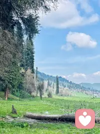 在社會上，你沒有人脈，沒有資源，沒有背景，不會經營人際關系，縱使你滿腹才華也很難有出頭之日，才華很長一段時間多數處于被埋沒的狀態。

直到你學會了如何與人相處，如何與人交際，才有可能被人看到，才有可能有施展才華的可能。

你總是做一個任人欺負的好人，心太善良，該爭的時候不敢去爭，該表現的時候不好意思去表現，該拒絕的時候不敢拒絕。

那么，你在人群中，工作中，生活中，大多數就會是一個逐漸被邊緣化，被人欺負，被人拿捏，被人隨時使喚的老好人。

當你在被這個無情的社會，虛偽的人情世故毒打捶打以后，終于覺醒，選擇了狠狠的還擊，變得不好惹，不好被隨意使喚的時候，對方可能會驚愕，但是他也不會再像以前那樣造次，頂多說一句“算你狠。”配圖