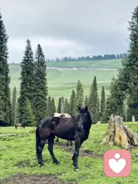 情緒管理咨詢

生活過得一團糟，永遠不要氣憤，所有的氣憤都是愚蠢的，高手的心理只有一件事，就是解決問題，解決不了，換辦法再試，也不被情緒帶偏！

情緒只能制造問題，而不能解決問題，沒有人可以左右你的情緒，只有你自己不放過自己，誰心里沒有點破事兒，只是你自己不放過自己而已，這是你生命中最好的年紀，身體健康，事事安好親人安在，現實安穩。

你要是心理意識不到，就會因為一點小事兒，心情就一團糟。

記住，除了生死，其他都是擦傷！一定讓自己時刻保持積極樂觀的心態，只有這樣才會有好事發生！??配圖