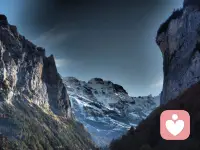 自我成長咨詢


如果你不再需要學位、證書或財物來使你覺得自己有價值，你就可以從一個自我監禁的監獄中解脫出來。

你仍然可以擁有這些東西，但是你的價值不再取決于它們中的任何一個。你的價值不依賴于任何東西——這是重點！

發現自己有內在的價值，讓你能夠治愈所有表現出來的問題，其結果是釋放擔心，恐懼，壓力，甚至抑郁，讓你變得開放，真實，自信和快樂！

如何發現自己內心的價值歡迎關注肖老師！配圖