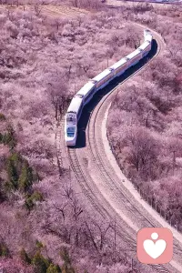 人的一生，一路上我們走過許多的地方，走過高山，越過坎坷，來到過大海，抵達過平地。

所走的每一個地方，都會遇見一些人，經歷一些事情，看見一些風景，有些人陪伴你左右，有些人又離開你了。

一路上，有緣的人自然會相見，無緣的人只能擦肩而過，緣分的來臨，彼此在人群里看見了對方，緣分的離去，彼此看著對方消失在茫茫人海里。

人與人之間，緣深緣淺，一切都是注定的，每一個人前行的方向不同，各有歸舟，各有渡口，相伴一程，分別在所難免！


情感困擾歡迎關注肖老師！配圖