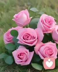 只有有能力讓男人珍視的女人，才有可能永遠不讓愛情的小船說翻就翻！配圖