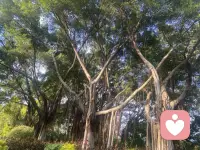 人的一生會遇到很多沉沒成本，比如一段沒有結果的感情，明知道繼續下去分手只是時間長短而已，還有生意明知道看不到起色再做也是賠，還舍不得改行因為不甘心！

沉沒成本太大，但是不知道止損更可悲。配圖