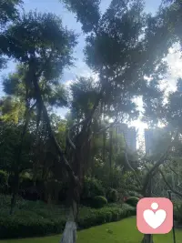 人的一生會遇到很多沉沒成本，比如一段沒有結果的感情，明知道繼續下去分手只是時間長短而已，還有生意明知道看不到起色再做也是賠，還舍不得改行因為不甘心！

沉沒成本太大，但是不知道止損更可悲。配圖