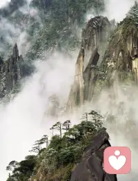 婚姻家庭咨詢
婚姻輔導


婚姻不是愛情的墳墓，而是心理成長的樂園！

在家庭中，每個人的心理成長質量是家庭幸福指標的保證。

我們要主動地成長，不斷完善人格，不斷修正性格，每個人都要管控好自己的情緒和言行，要尊重對方，理解對方的心理，抱著寬容的心態，少些指責和批評，多一些鼓勵和肯定！配圖