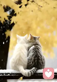 擇偶中不懂得尊重女性的絕對不行！

尊重是戀愛中的基本前提，沒有尊重的愛情就像建在沙子上的房子！配圖