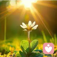 結婚的意義是什么？

這是我聽到三觀最正確的答案！
結婚的意義是給彼此的有一個承諾，
生活中相互鼓勵，遇到事能有個人商量，
在生活累的時候彼此相互安慰鼓勵，
下班回家能有個人一起
吃熱騰騰的飯菜，在外受了委屈回到家能有一個溫暖的懷地！

父母會老去無法長期陪伴，可這一生太漫長了，總要有一個相知相伴走完一生的人！#結婚的意義配圖