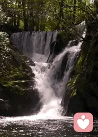 廉價的生活，往往體現在隨波逐流、盲目攀比上。總覺得別人擁有的就是好的，追求低質量的滿足感，卻忽略了內心真正的需求。

高級的生活不是奢侈，而是活出自己的獨特性和舒適感。不被潮流裹挾，不為別人的眼光所累，選擇符合自己價值觀的生活方式。

比如，吃得簡單但健康，衣著低調卻得體，這些看似不昂貴，卻滿是品位與自尊！配圖