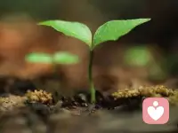 “内耗”这个词近些年很流行，大家普遍认识到一个问题：很多时候，我们并非是能力、精力无法企及某个生活目标，而是因为内耗太多，阻碍了我们前行的进程。

所谓内耗，顾名思义，当然是指向精神世界的冲突，“内耗”这个词经常让我想起化学上的酸碱反应。在化学层面，酸与碱的碰撞会带来“中和”， 既不过酸，也不过碱，刚刚好。

但在心理世界，结果却南橘北枳，心理持续冲突的剧烈程度，不亚于酸碱碰撞，但带来的却是消耗和毁灭。如果把心理能量比喻成一块电池，那么内耗就会迅速使电量耗竭。而在种种“内耗”的体验中，焦虑一词必然会被提及。配图