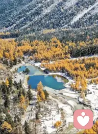 一个太重视感情的人，或者陷入感情的漩涡中不能抽身的人，注定会受伤，注定会内耗，注定会在郁郁寡欢的失落之中耗费生命。

不期待他人，是一种难得的清醒！配图