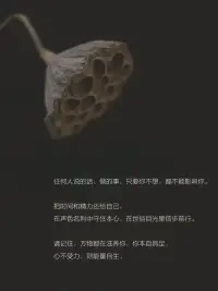 心不受力，才有力量

?請記住，萬物都在滋養你，你本自具足，心不受力，則能量自生！-肖老師配圖