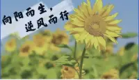 陽光的?背后?

注定了?是黑暗的?一面?

而我們?能做的?就是?擺脫黑暗?的籠罩?

積攢?所有的力量?，停止內耗，朝著心的?方向?

朝著?夢開始?的地方?，一路?向陽！配圖