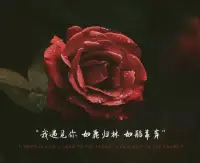 新年快樂！配圖