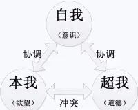 自我意识，是个体对自己的心理特点、人格特征、能力及自身社会价值的自我了解与自我评价。是主观的我对客观的我的认知与评价。

本我：生理属性的意识，原始本能冲动，生理需求，无意识的，非社会化的。意识的原始形态，形成于3岁之前，自我意识发展的第一个时期。

自我：个人意识部分，是自我意识的觉醒。在社会中的角色、地位、义务等，与他人交往，社会化活动逐渐发展而来，年少时期的阶段。

超我：社会化的意识，道德、伦理、价值观等综合化的结果。对自己的记忆、思维、性格、气质、动机、需要、价值观和行为等的意识。青春期开始发展和形成的。配图