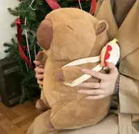 现在社会，拥有童心，是比野心更难得的梦想！配图